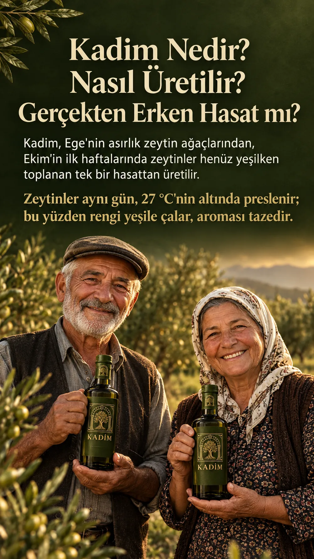 Kadim nedir, nasıl üretilir, gerçekten erken hasat mı? Ekim'in ilk haftalarında yeşilken toplanan tek hasattan, 27 derecenin altında preslenir.
