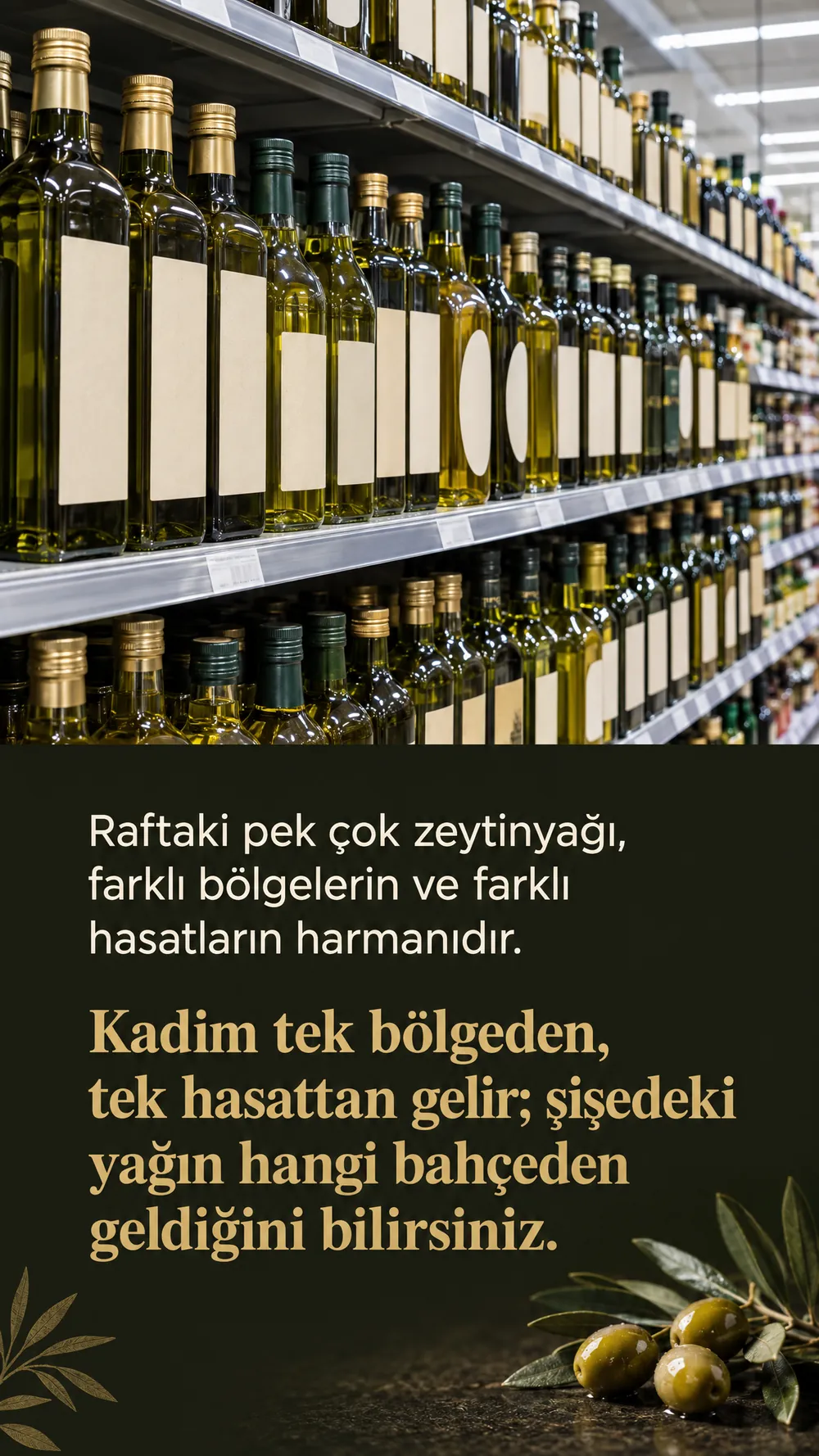 Raftaki pek çok zeytinyağı harmandır. Kadim tek bölgeden, tek hasattan gelir.