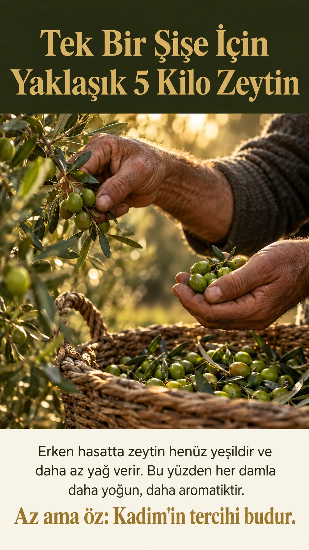 Tek bir şişe için yaklaşık 5 kilo zeytin. Az ama öz.